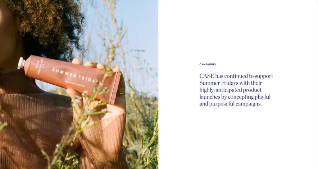 Case agency website 002
