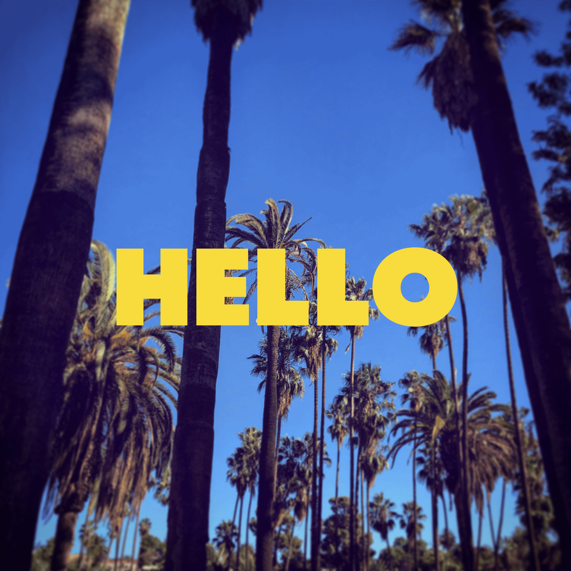 Shrimpton Agency is now in Los Angeles by Shrimpton Agency