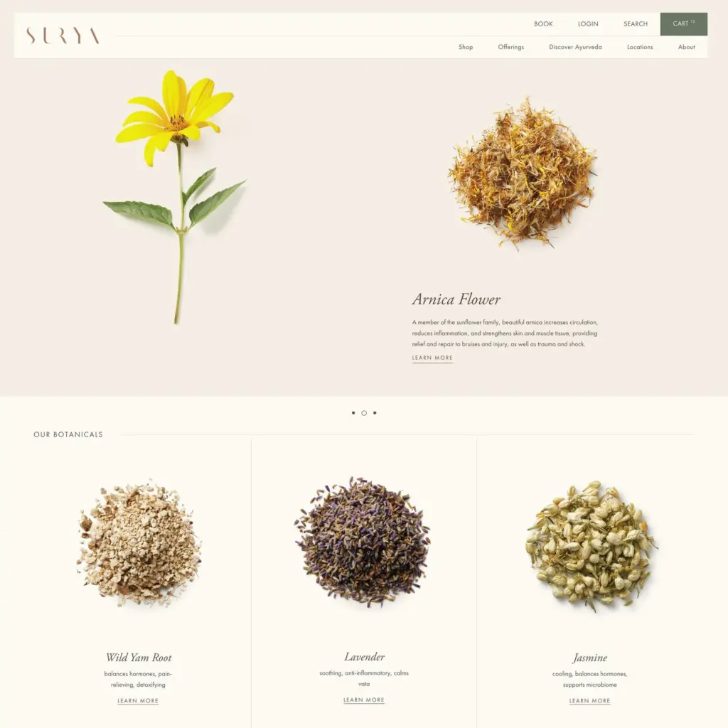 SURYA SPA DEKSTOP BOTANICAL 001